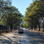 Cena de acidente de atropelamento em rua de área de clubes em Brasília, com carro e marcas no asfalto, sem pessoas.