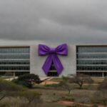 Edifício da CLDF em Brasília com laço roxo simbolizando combate à violência de gênero.