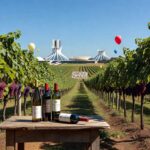 Vinhedos da Vinícola Brasília com garrafas de vinho em celebração aos 2 anos da vinícola e 66 anos da capital.