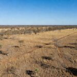Paisagem do Cerrado com aceiros de prevenção a incêndios no DF