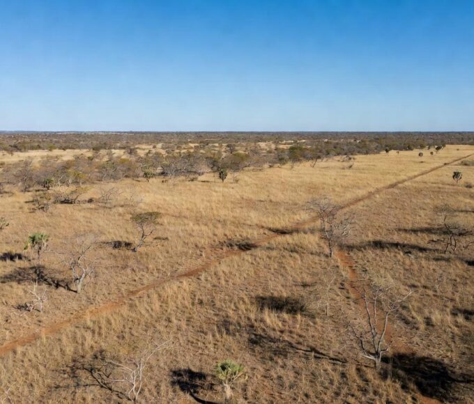 Paisagem do Cerrado com aceiros de prevenção a incêndios no DF