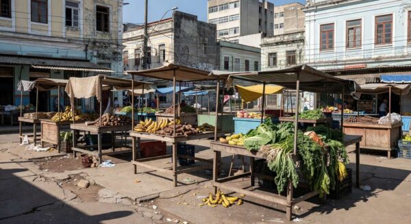 Feira livre brasileira com barracas vazias, crítica a licitações sem inclusão social