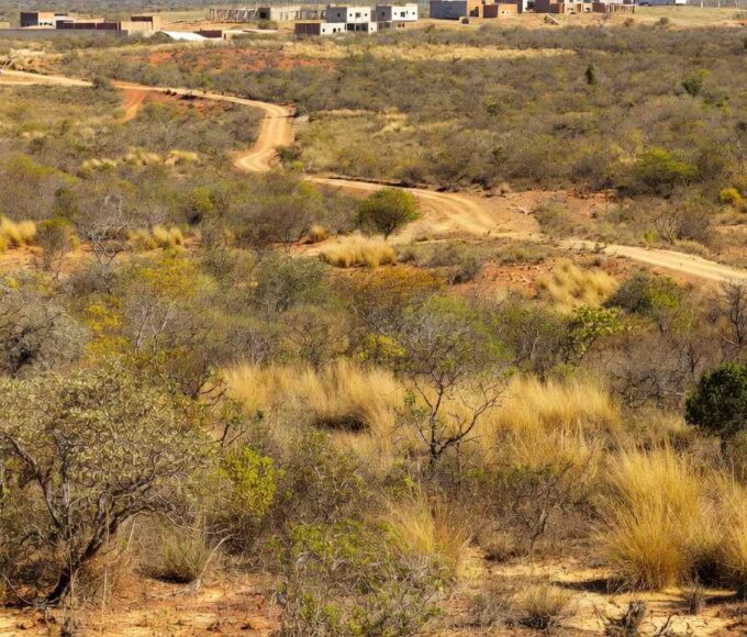 Terrenos em Vicente Pires com edital da Terracap por valores abusivos