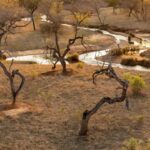 Área de cerrado no Riacho Fundo II onde será criado o Parque Distrital Lobo-Guará