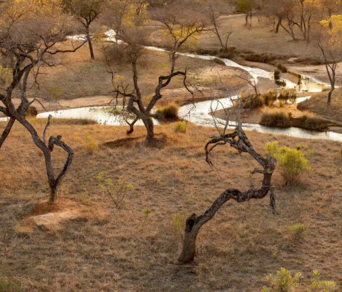 Área de cerrado no Riacho Fundo II onde será criado o Parque Distrital Lobo-Guará