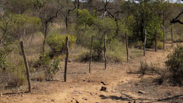 Cerca elétrica improvisada em área rural do Paranoá, Brasília