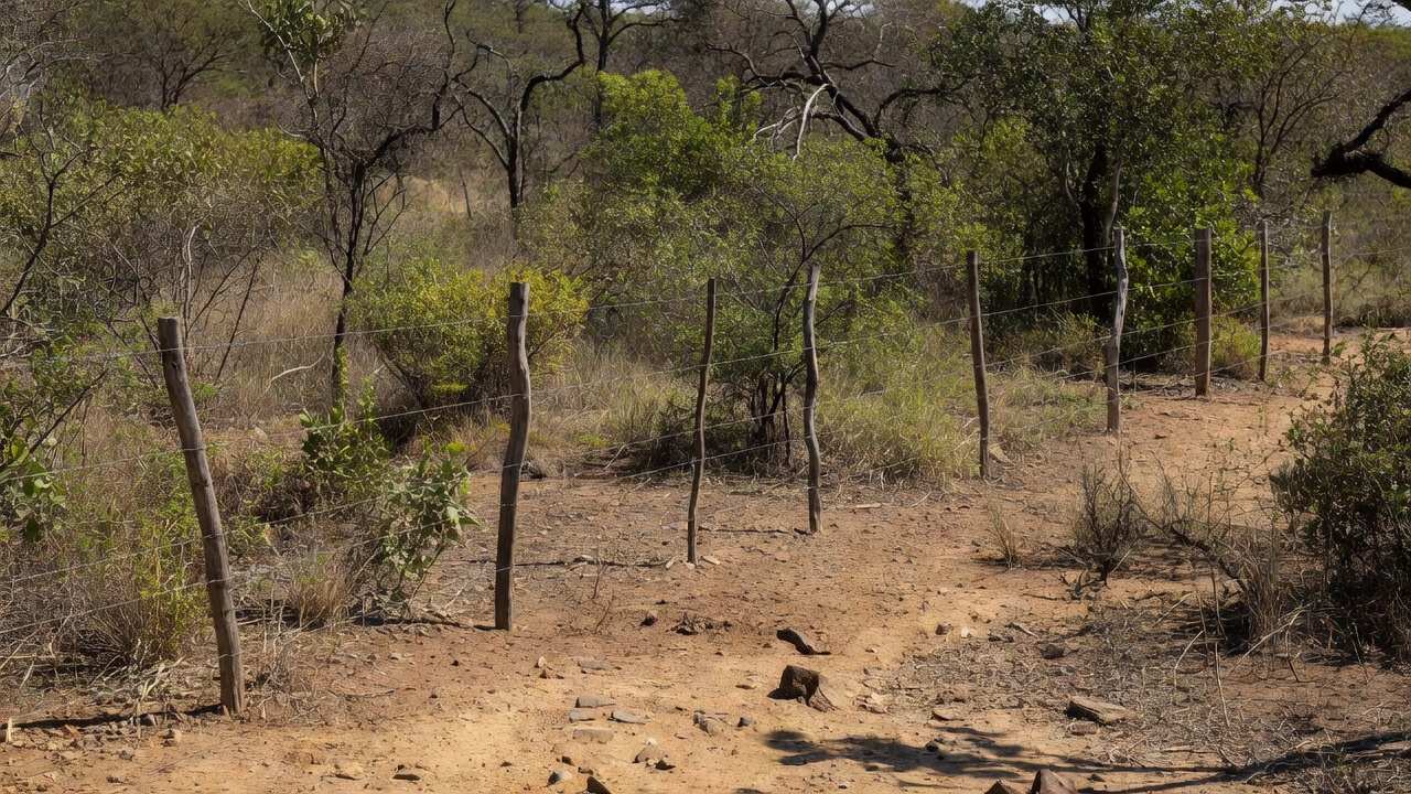Cerca elétrica improvisada em área rural do Paranoá, Brasília