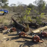 Motosserras apreendidas pela PMDF em desmatamento irregular em Arniqueiras, DF