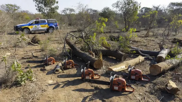 Motosserras apreendidas pela PMDF em desmatamento irregular em Arniqueiras, DF