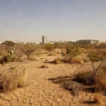 Paisagem do cerrado seco no Distrito Federal com baixa umidade
