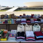 Ação solidária de voluntariado com doações no Distrito Federal