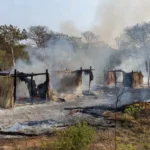 Ocas destruídas por incêndio em reserva indígena no Distrito Federal