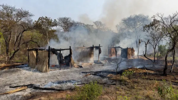 Ocas destruídas por incêndio em reserva indígena no Distrito Federal