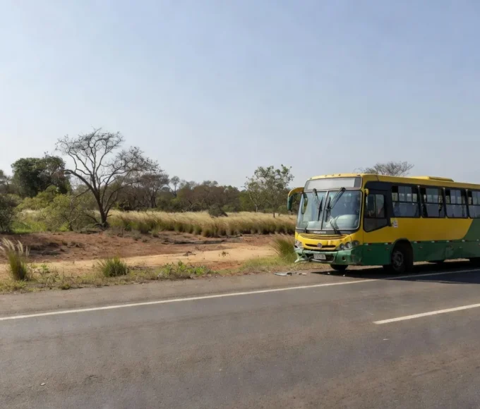 Ônibus acidentado na rodovia GO-010 em Goiás, Brasil