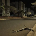 Pedaço de pau em rua da Asa Norte, Brasília, representando agressão a zelador
