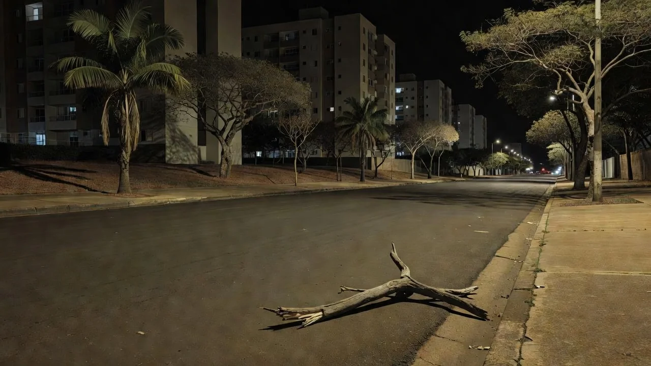 Pedaço de pau em rua da Asa Norte, Brasília, representando agressão a zelador