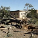 Árvore caída no pátio de escola em Ceilândia Sul, Brasília, sem feridos