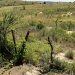 Terras rurais em conflito fundiário em Nova Jerusalém, DF, sem titulação pelo GDF