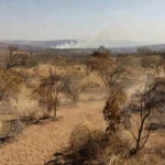 Paisagem do Cerrado no Distrito Federal com fumaça de incêndios durante seca de 54 dias