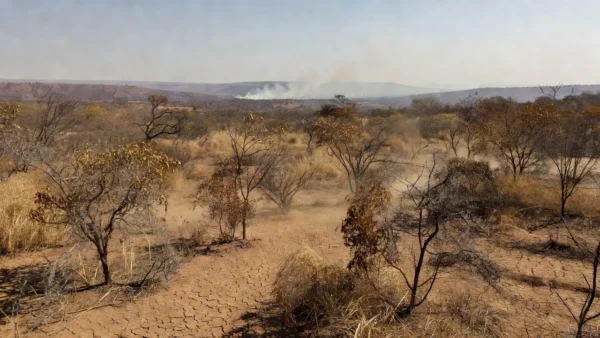 Paisagem do Cerrado no Distrito Federal com fumaça de incêndios durante seca de 54 dias