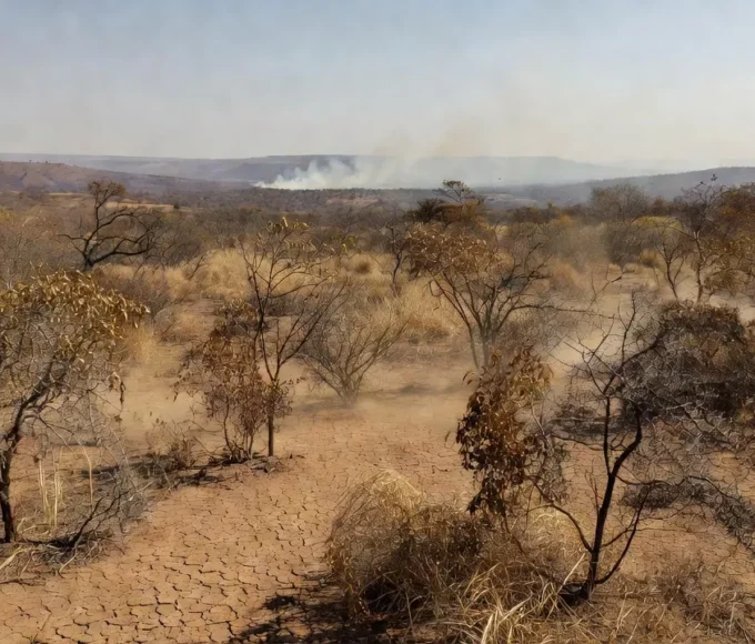 Paisagem do Cerrado no Distrito Federal com fumaça de incêndios durante seca de 54 dias
