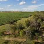 Paisagem do Cerrado com agropecuária e áreas preservadas