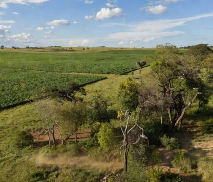 Paisagem do Cerrado com agropecuária e áreas preservadas