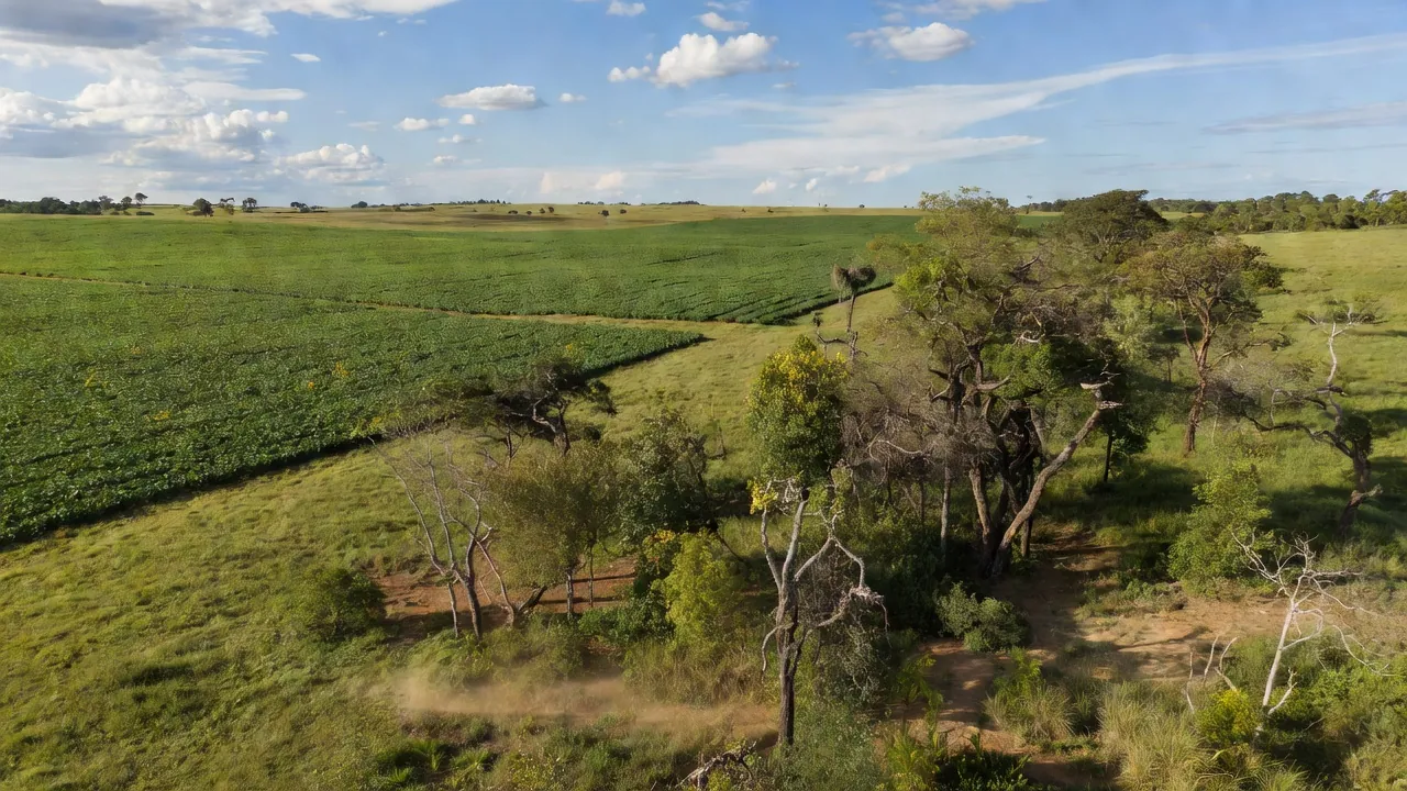 Paisagem do Cerrado com agropecuária e áreas preservadas