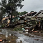Estragos de temporal em Planaltina com árvores caídas e casas danificadas.