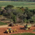 Cinturão verde e maquinário agrícola em área rural do Distrito Federal