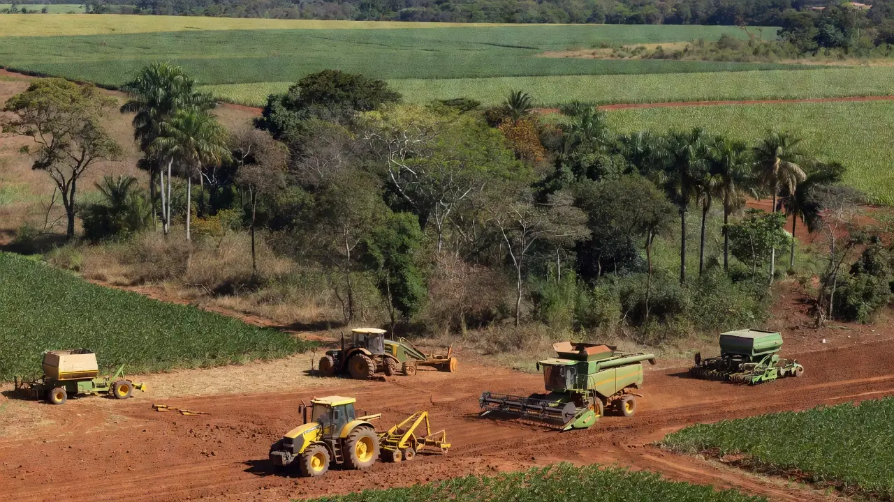 Cinturão verde e maquinário agrícola em área rural do Distrito Federal